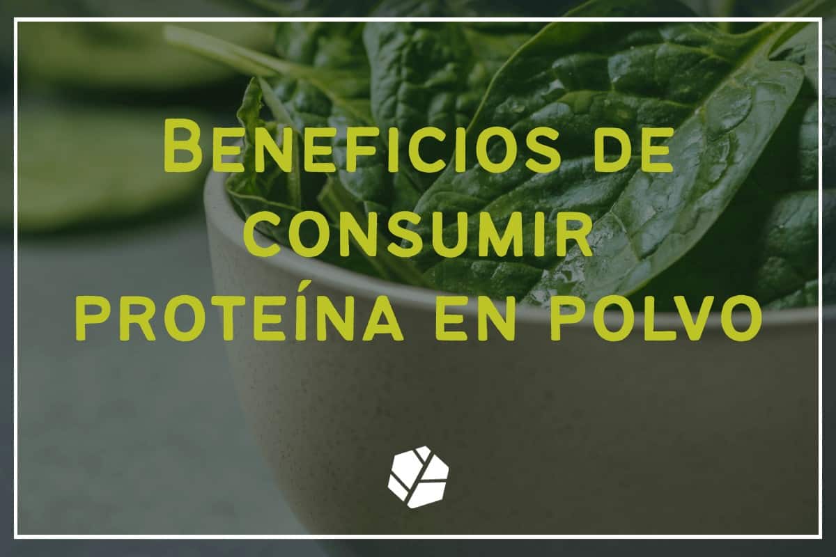 Beneficios de consumir proteína en polvo