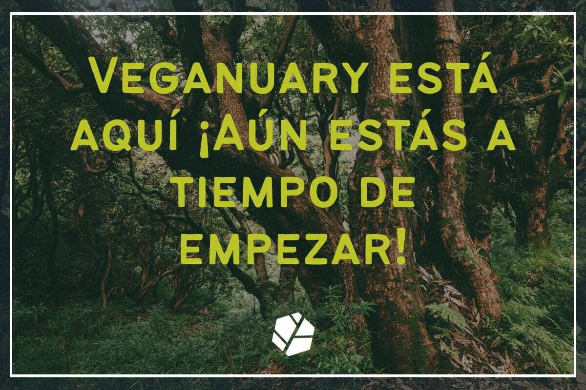 Veganuary está aquí ¡aún estás a tiempo de empezar!