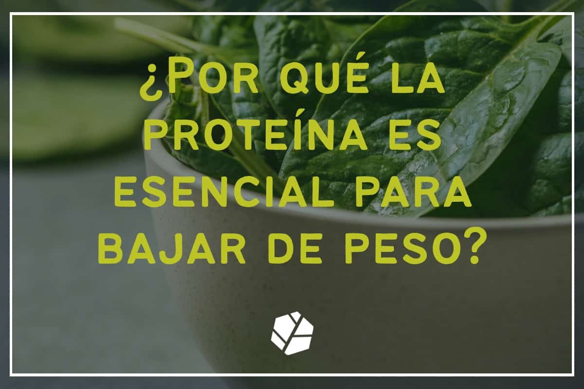 ¿por qué la proteína es esencial para bajar de peso?