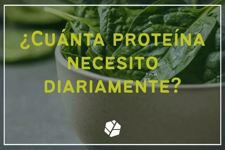 ¿cuánta proteína necesito al día?